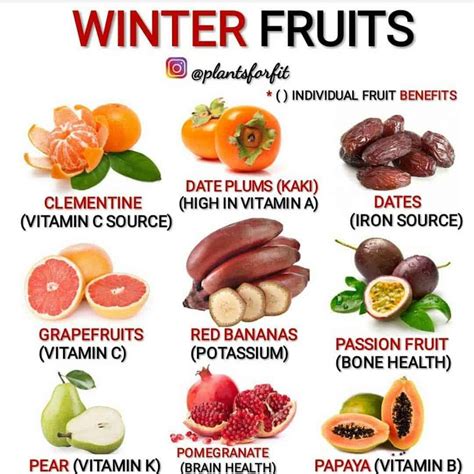 Winter Fruits Blaze